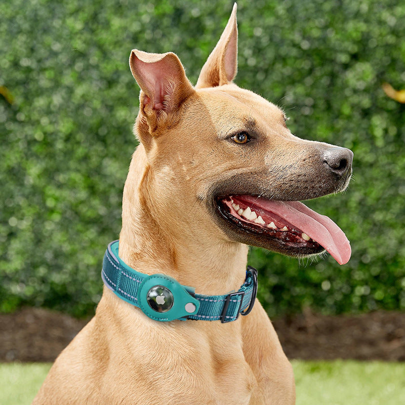 AirTag Ready Dog Collar