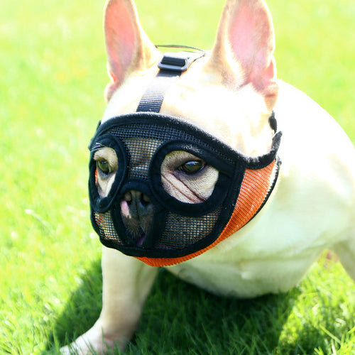 Breathable Mesh Frenchie Muzzle