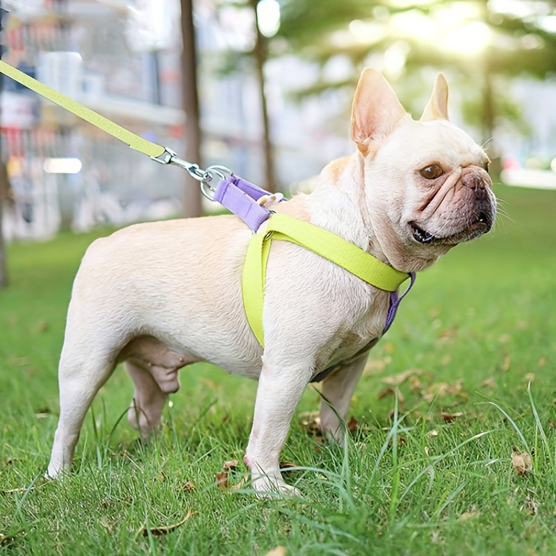 Rainbow Colorblock Anti-Escape Harness