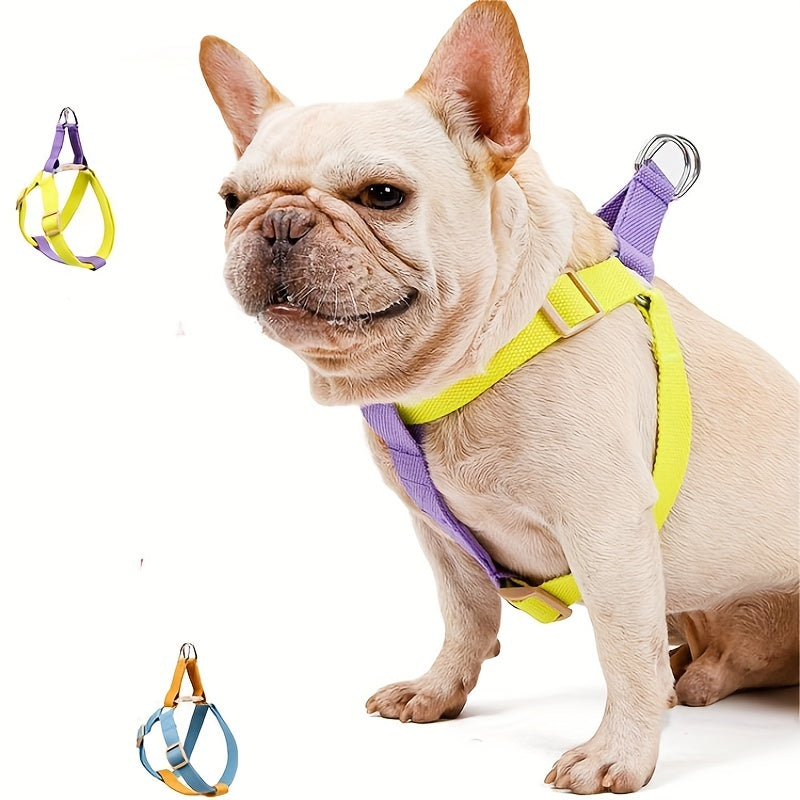 Rainbow Colorblock Anti-Escape Harness