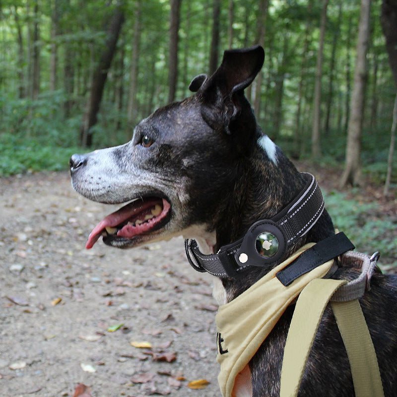 AirTag Ready Dog Collar