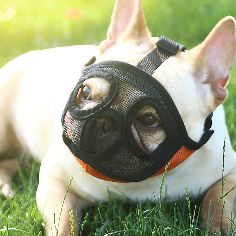 Breathable Mesh Frenchie Muzzle